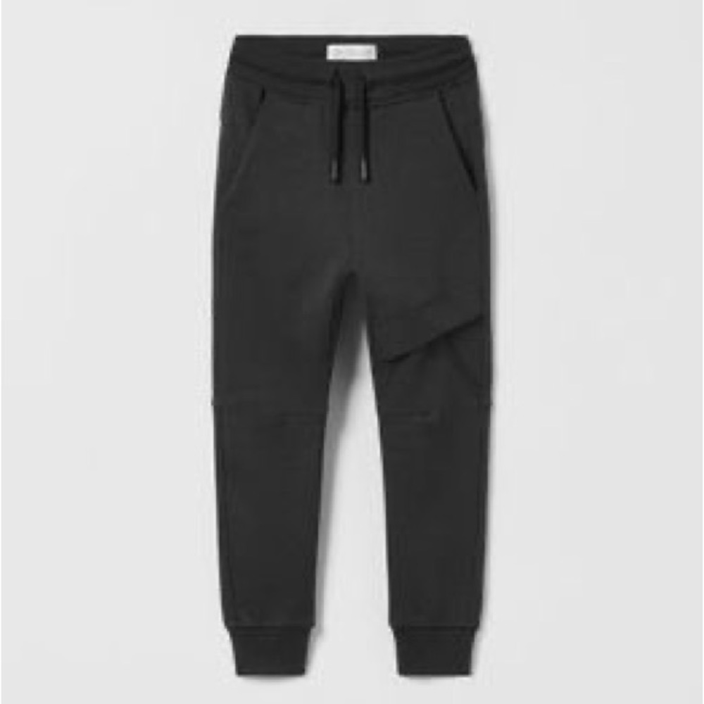 Zara pants
